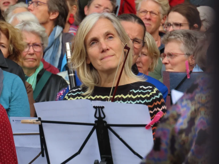 Violiste 2 © Bea, Bert en Cok