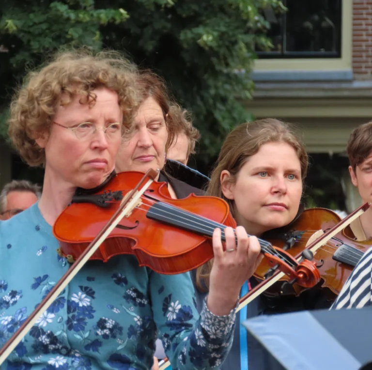 Violisten 1 © Bea, Bert en Cok
